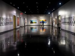 Museum of Arts and Sciences