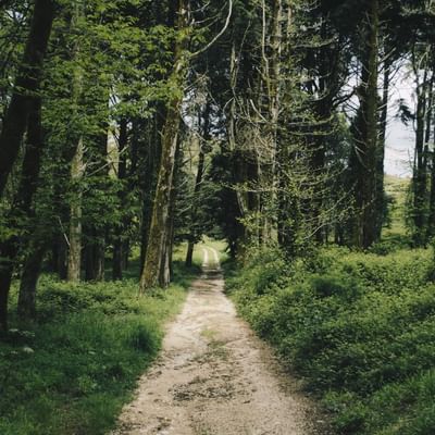 Chakra path in Stegerbach near Falkensteiner Hotels