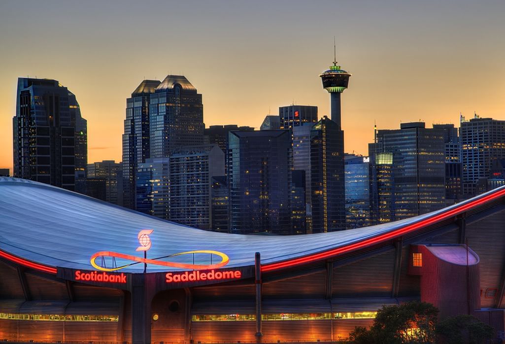 downtown calgary cityscape saddledome