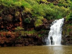 Mini waterfall in Waimea Valley near Stay Hotel Waikiki