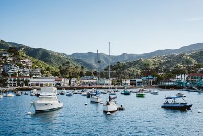 Distant view of the boats docked in the harbor near Hotel Atwater