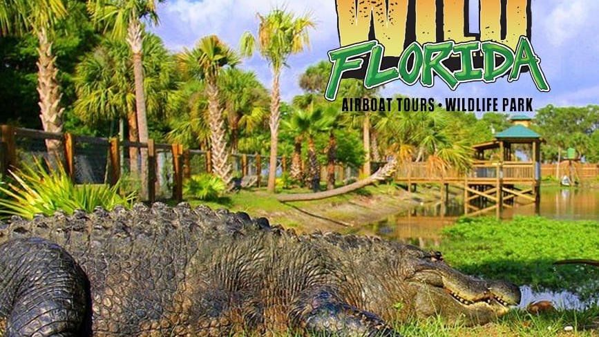 Poster of Wild Florida near Legacy Vacation Resorts