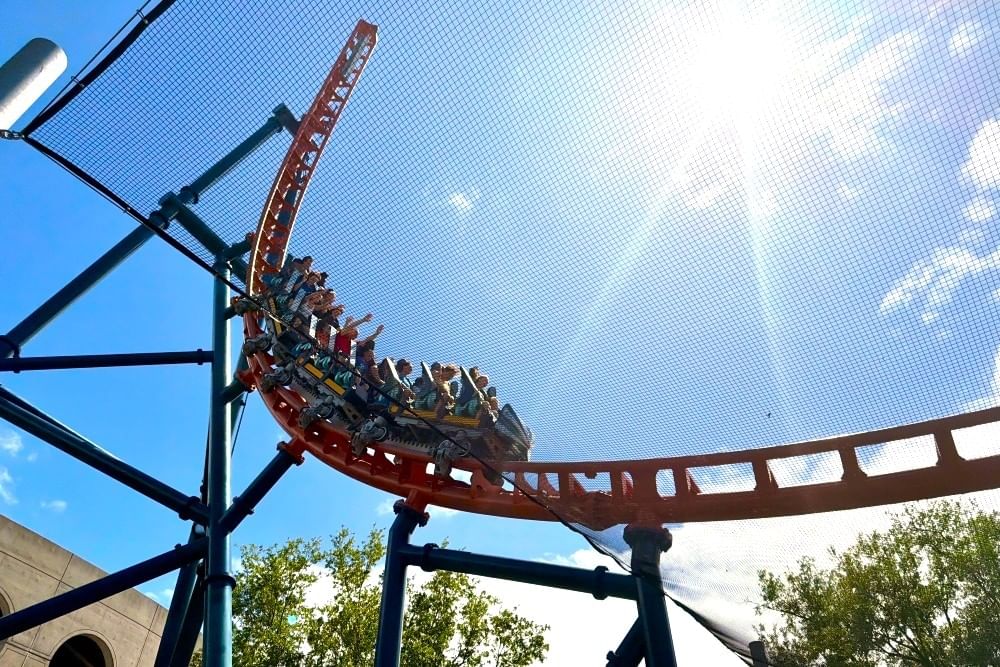 An shot from below of a train of roller coaster cars slides backwards up a steep drop against a blue sky and sunburst.