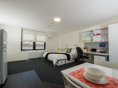 Studio Double Deluxe