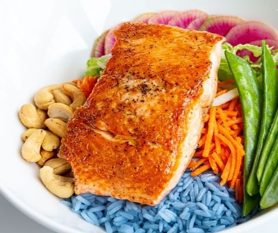 Closeup of a Bowl of Salmon with salad at Retro Suites Hotel