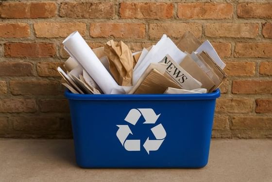 Blue recycling bin filled with discarded newspapers and paper products against a brick wall setup at Rodd Hotels & Resorts