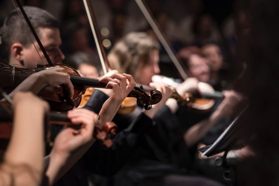 A group of people playing an orchestra at Radisson Blu Badischer