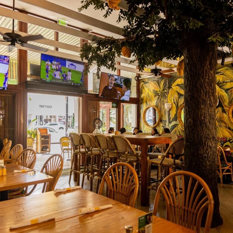 Bright restaurant interior with wooden tables, tropical decor, and a large tree growing through the dining space.