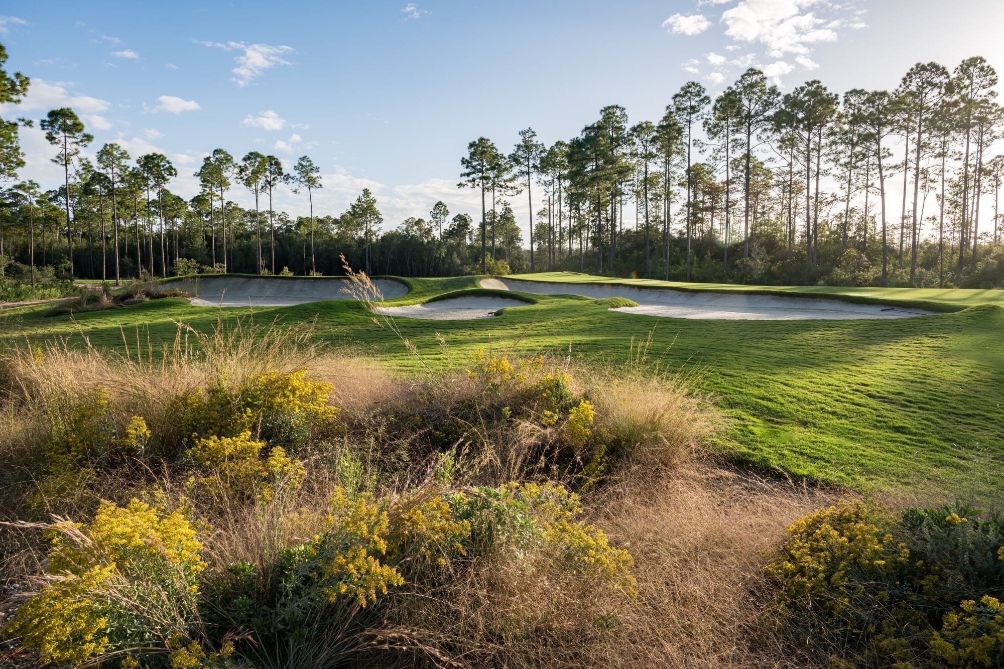Golf course with green grass, sand bunkers, and tall trees under a blue sky with scattered clouds.
