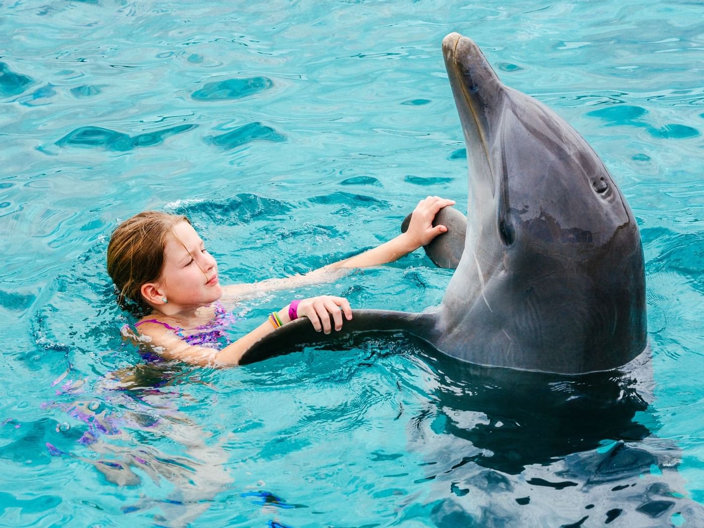 Un niño jugando con un delfín cerca de Hoteles Fiesta Americana