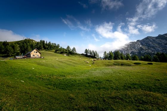 Wandern rund um das Schloss Pichlarn