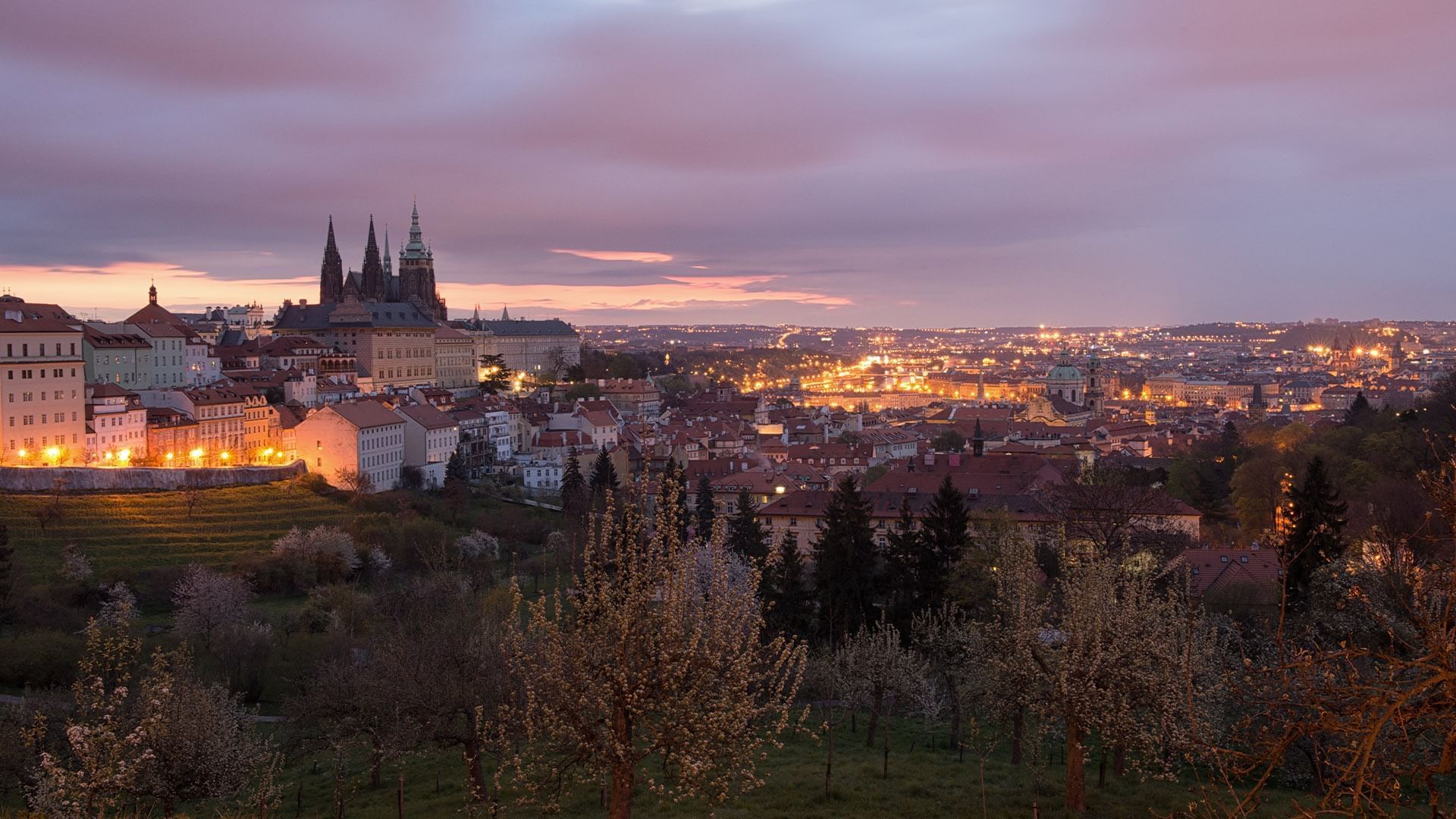 City at Falkensteiner Hotel Maria Prag