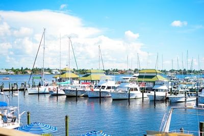 Boats in harbor.