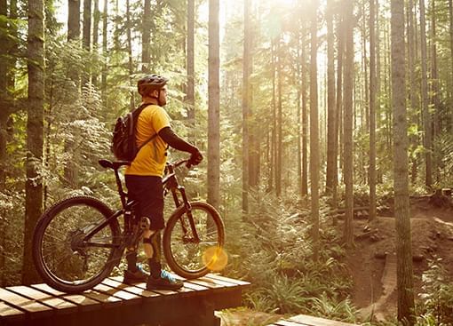 Mountain biker in a forest