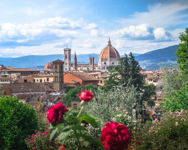 Florence Garden of Roses