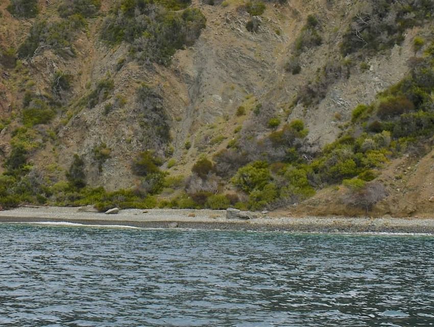View of Gibraltar Beach with lush green trees near Catalina Island Company
