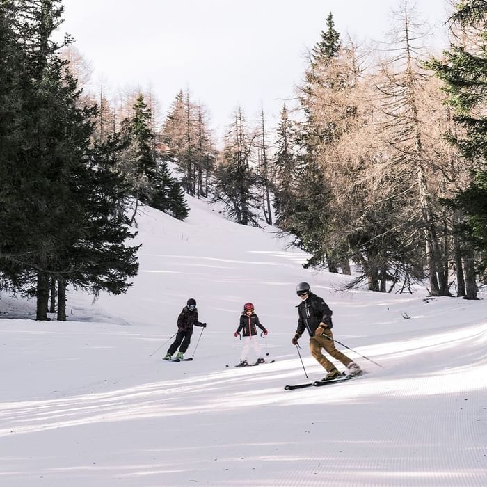 Drei Skifahrer fahren auf einer schneebedeckten Piste mit Bäumen im Hintergrund.