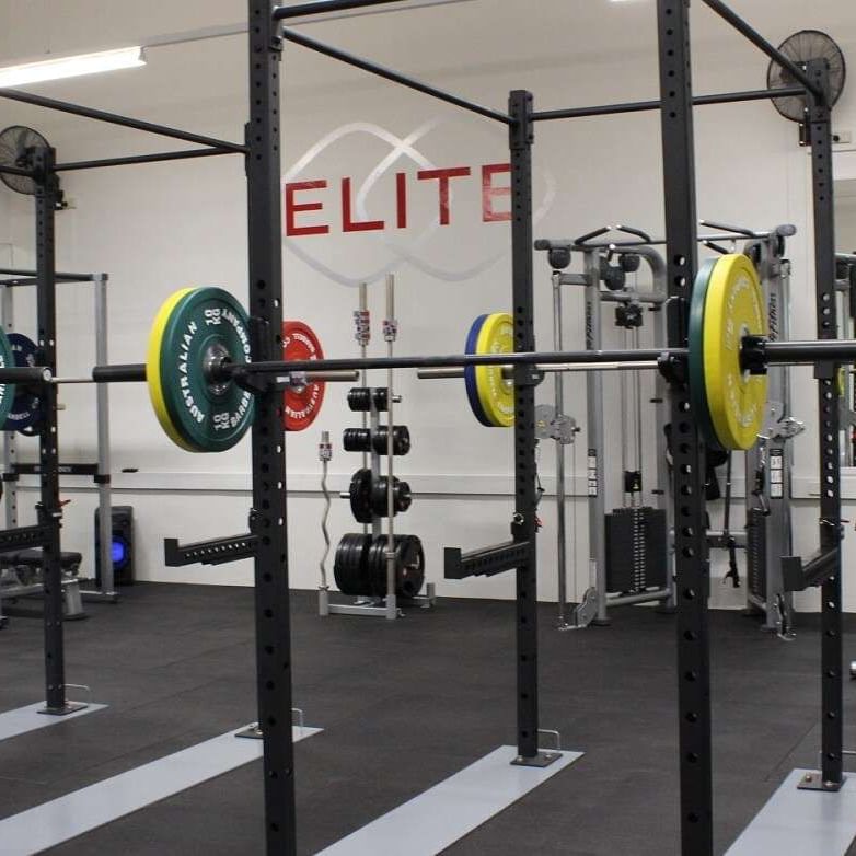 Colorful barbells lined up in Elite Gym at Sofitel Brisbane Central
