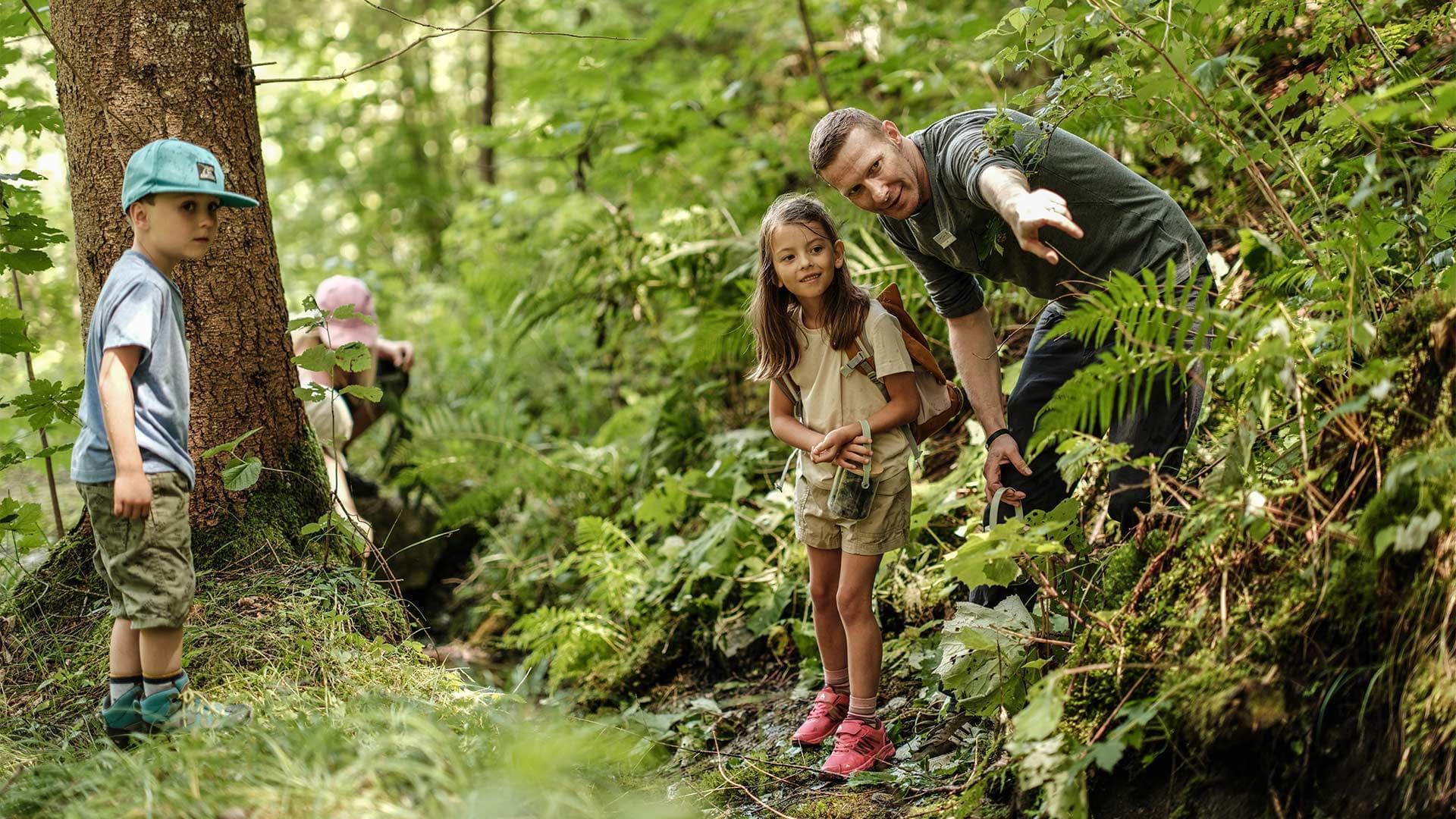 Adult and a child exploring a lush green forest together near Falkensteiner Hotel Montafon
