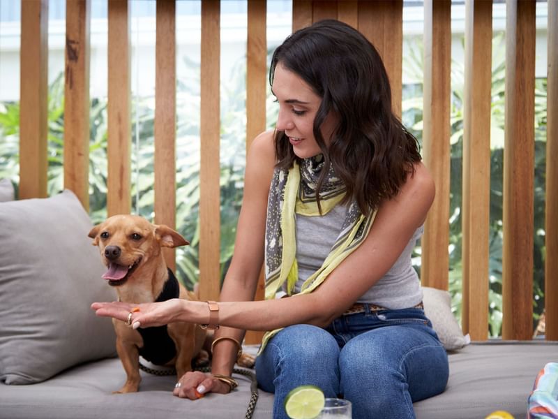 Woman sitting on a couch with a dog at Fiesta Americana