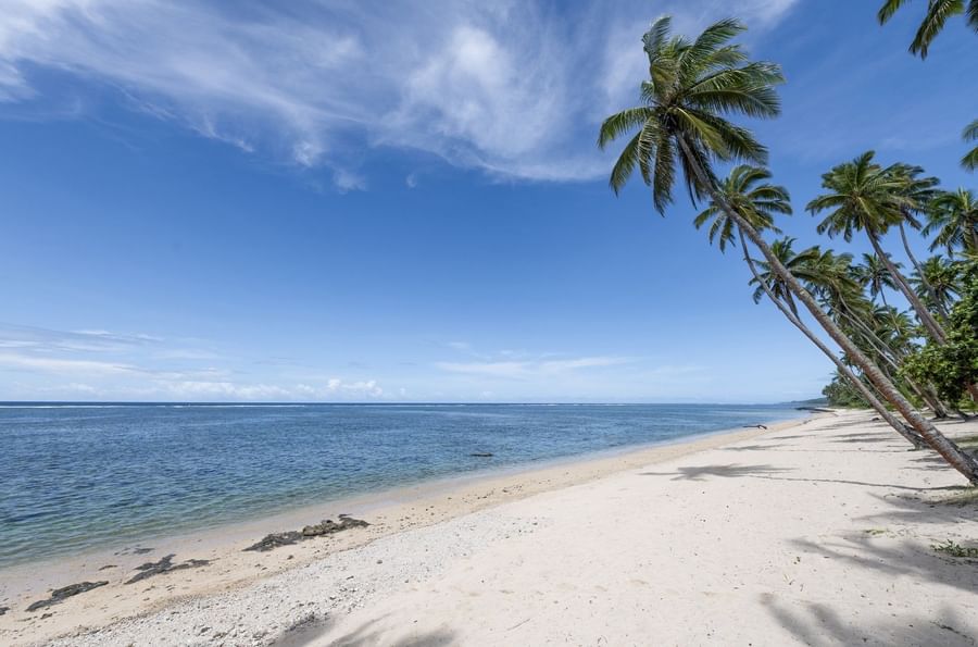 Wide white sand beach by the calm blue sea under a bright sky with leaning palm trees at Tambua Sands Beach Resort