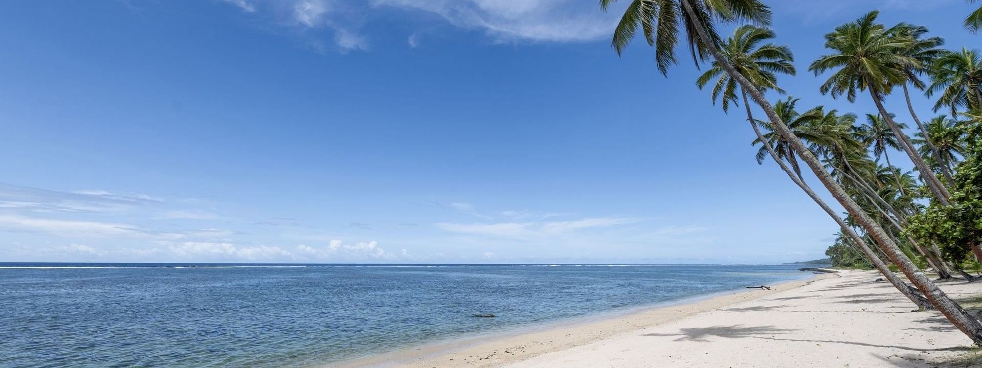 Sandy beach with palm trees and ocean view at Tambua Sands Beach Resort in Sigatoka