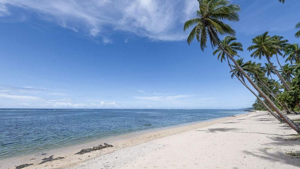 Sandy beach with palm trees and ocean view at Tambua Sands Beach Resort in Sigatoka.