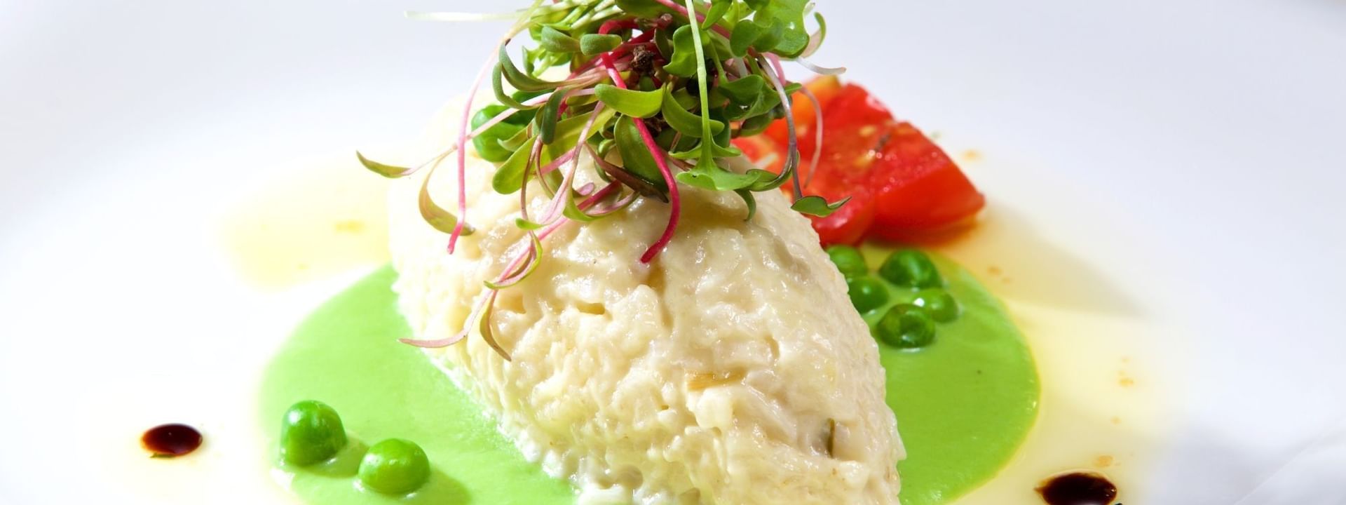 Creamy risotto with peas under fresh sprouts surrounding a green herb sauce in Abbiocco at Warwick Paradise Island Bahamas