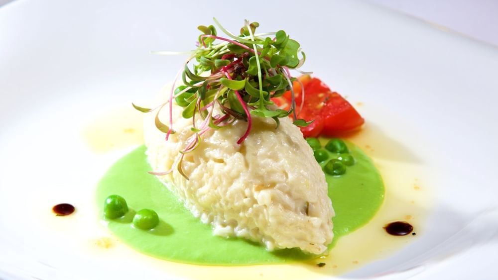 Creamy risotto with peas under fresh sprouts surrounding a green herb sauce in Abbiocco at Warwick Paradise Island Bahamas