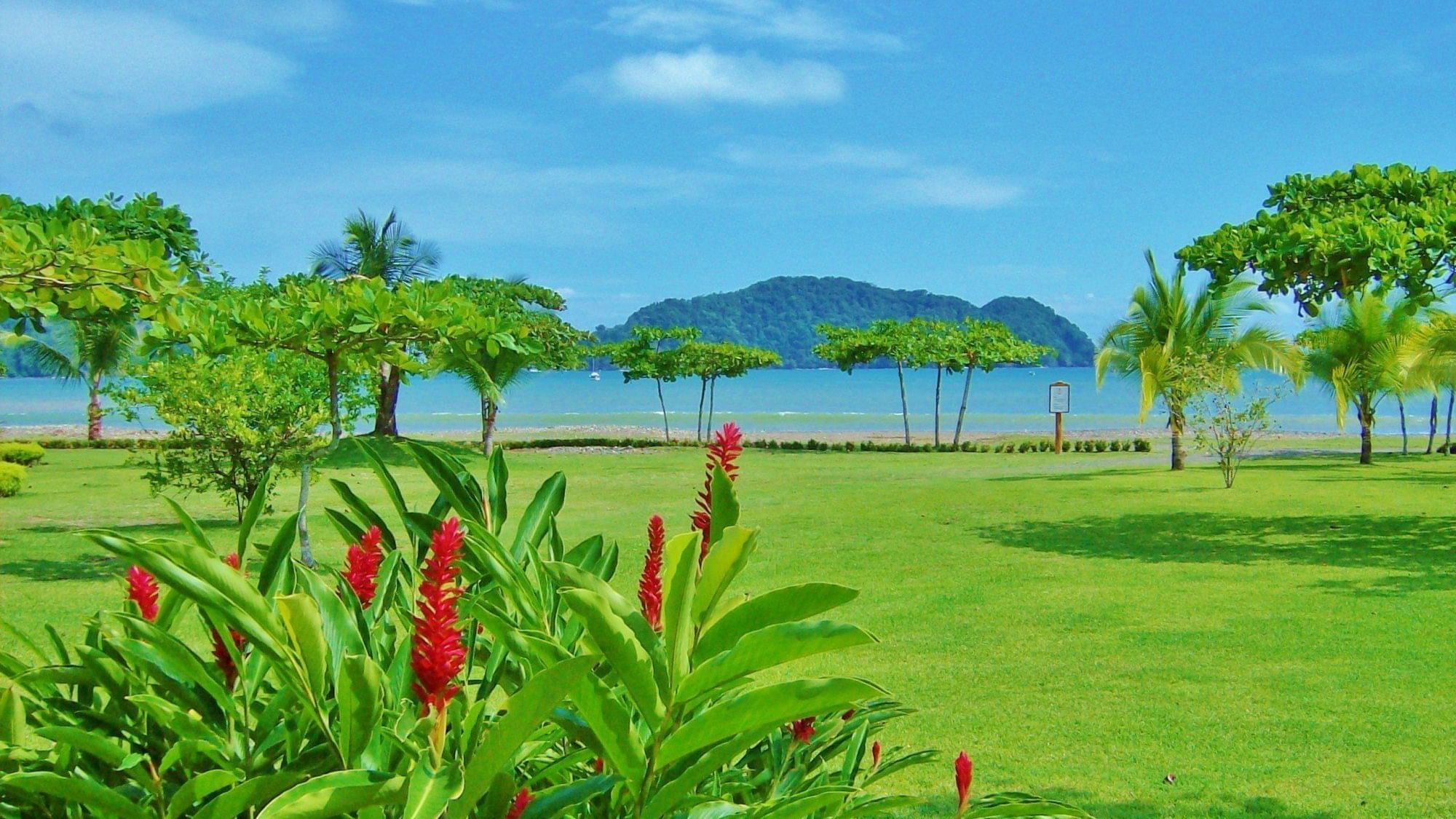 Landscape view of garden and the sea at Buena Vista Del Rincon