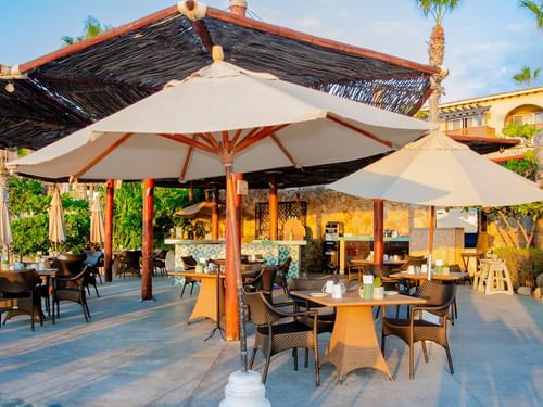 Tortugas exterior restaurant patio at Hacienda del Mar Los Cabos with tables, chairs, and large umbrellas