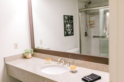 bathroom sink and mirror