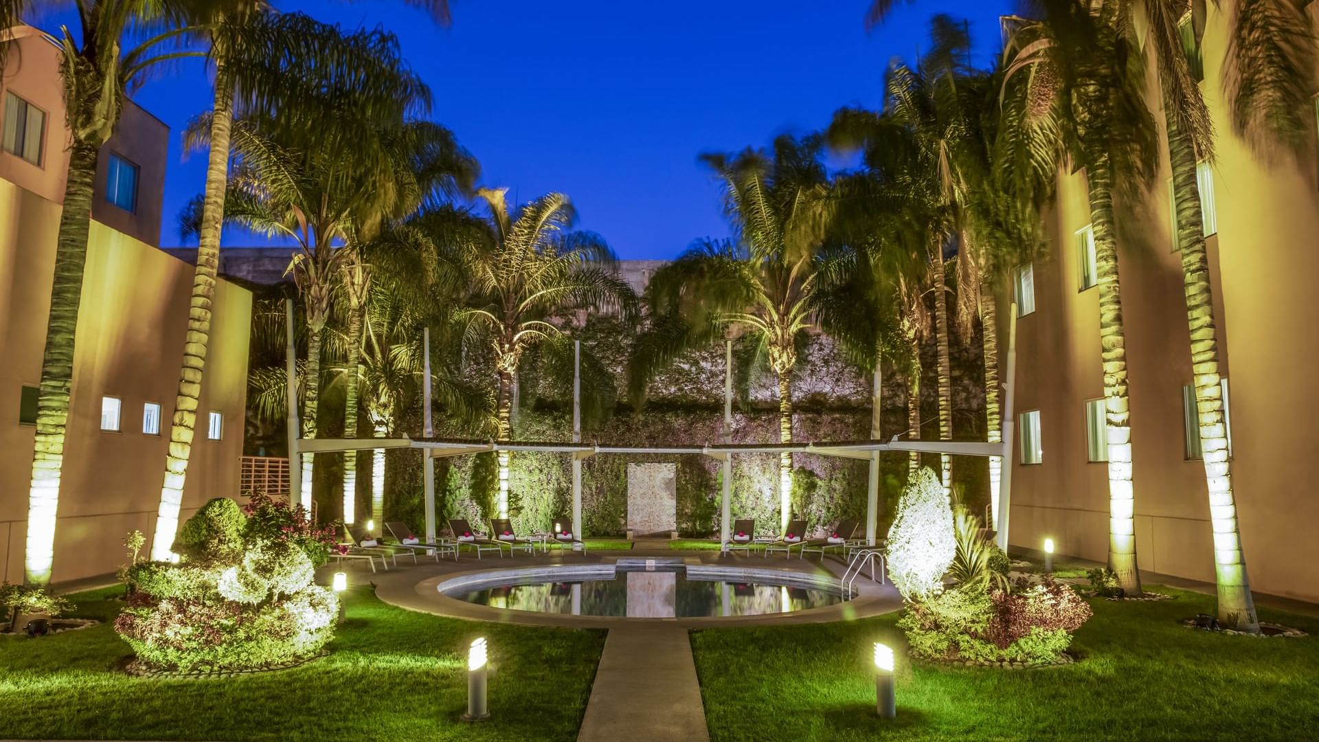 Outdoor pool with palm trees at FI San Luis Potosí Oriente