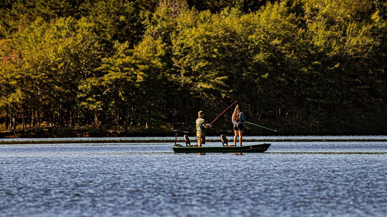 couple fishing from a boat