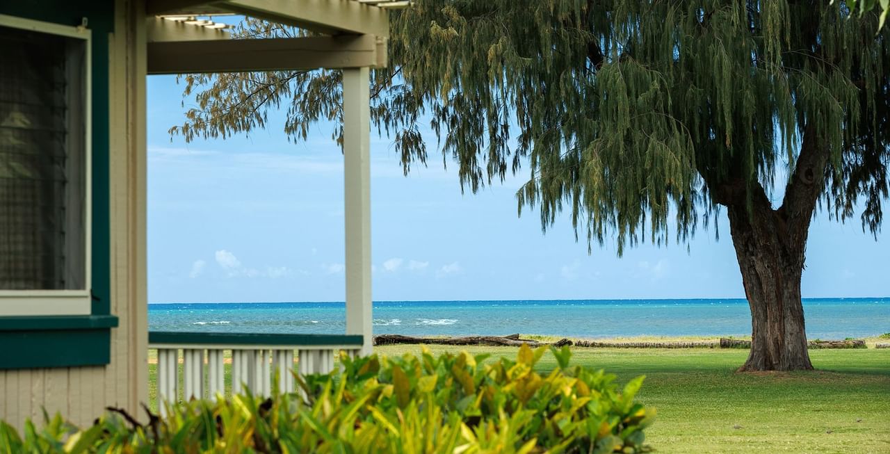 Cottage, ocean, and tree