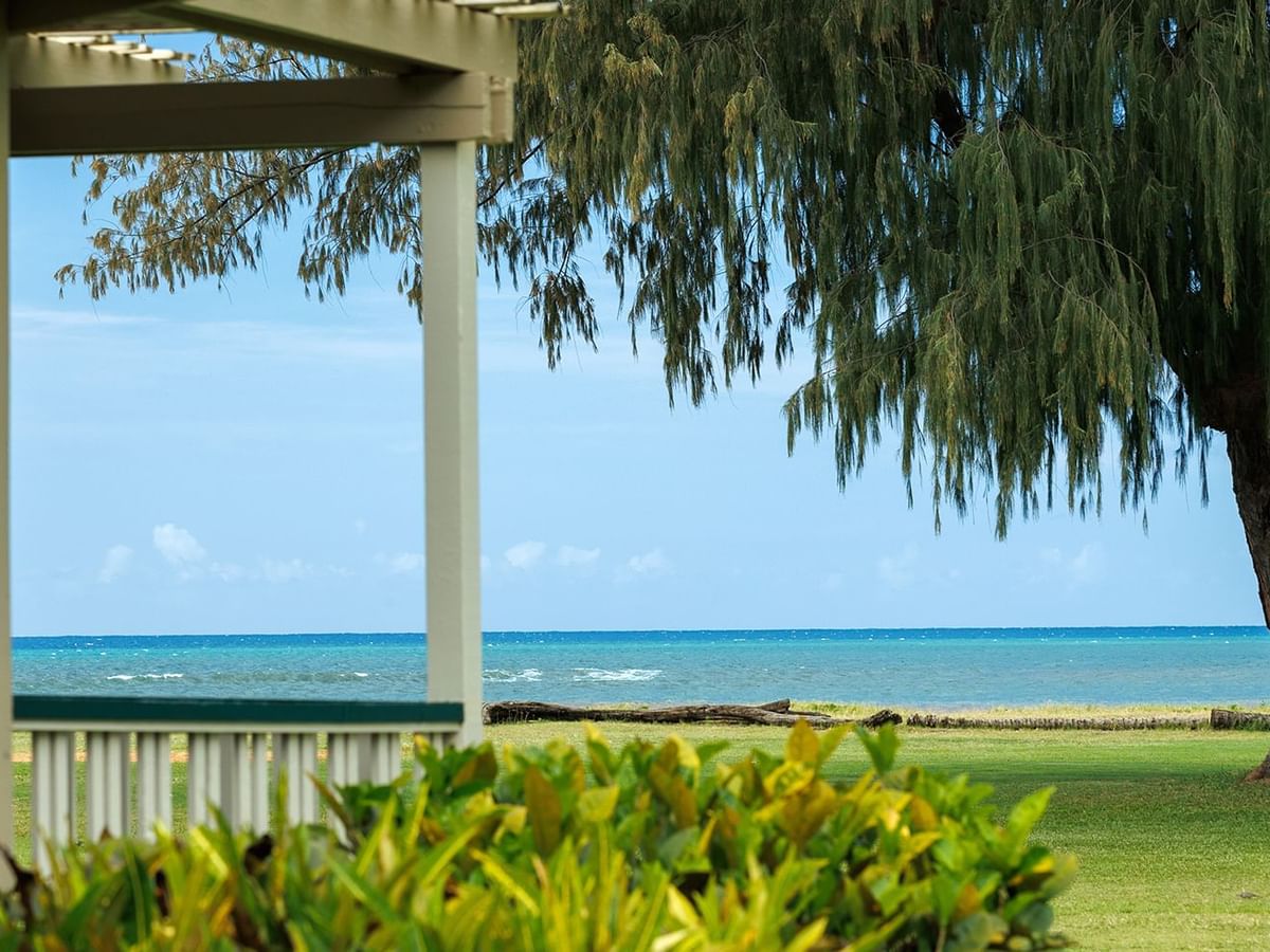 Ocean front cottage with trees and bushes