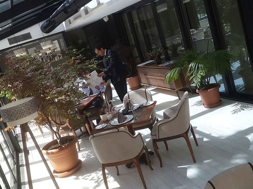 Elegant chairs by a wooden table under a glass ceiling and leafy trees in a cafe at Warwick Ankara