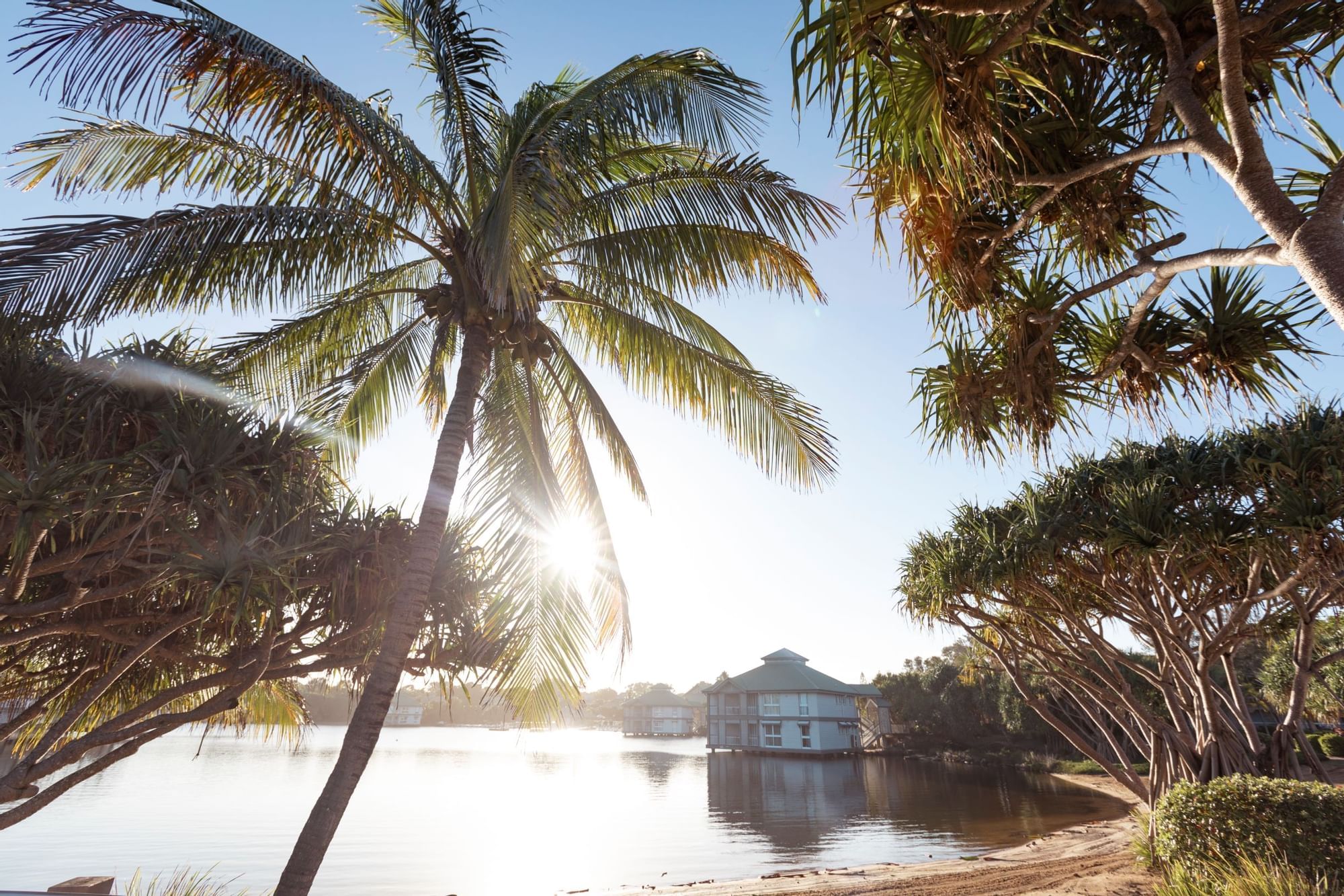Trees at the water edge in Novotel Sunshine Coast Resort