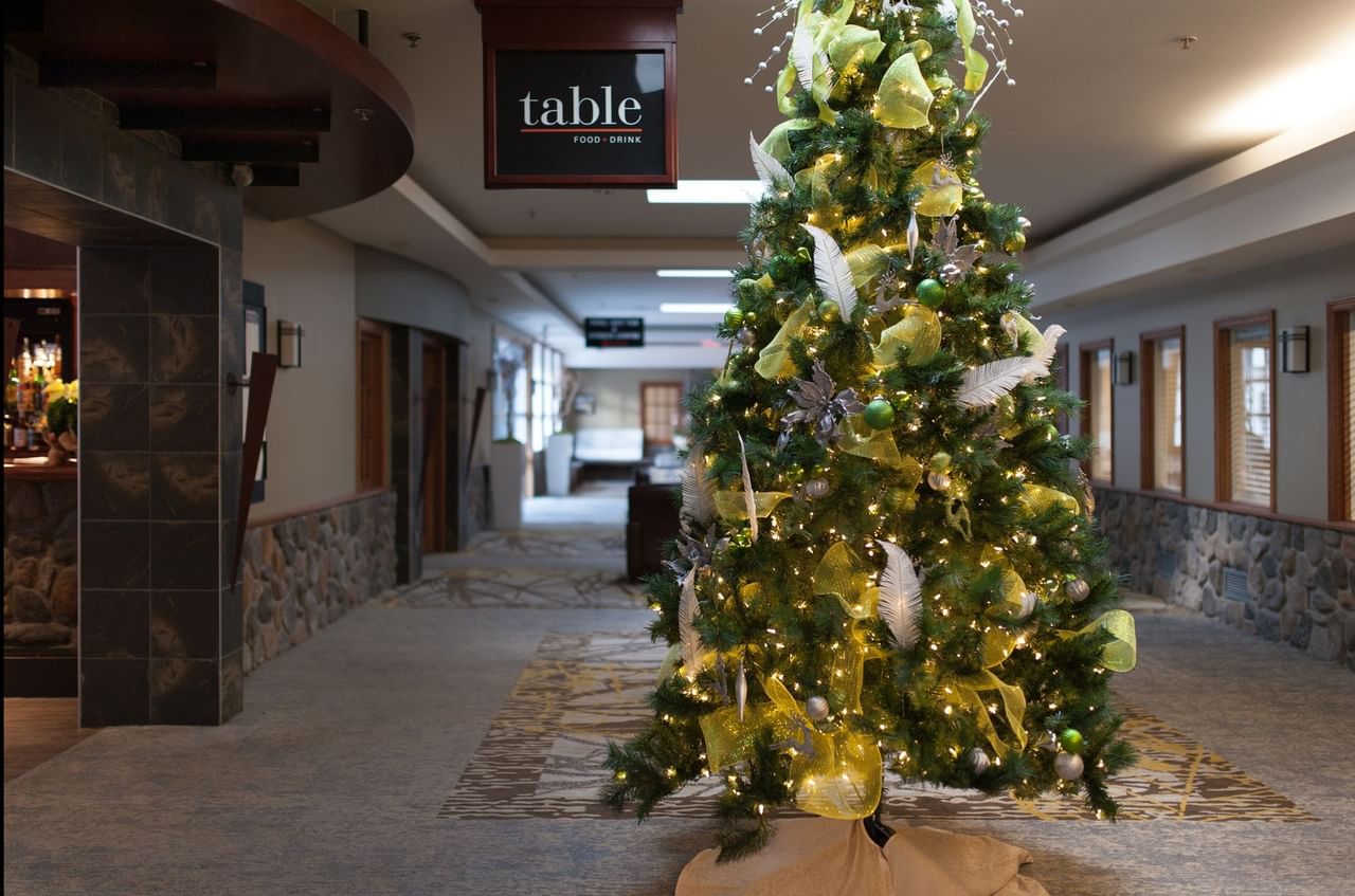 Coast Canmore Hotel & Conference Centre - Christmas Tree in Concourse