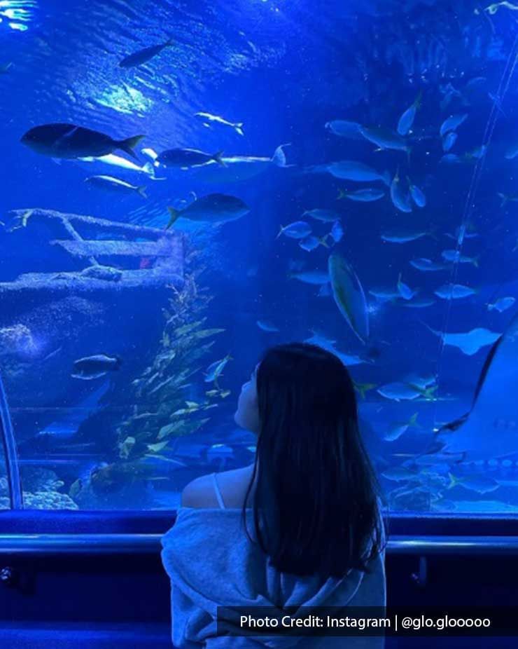 Lady gazing at fish in Aquaria KLCC, a tourist attraction near Imperial Lexis Kuala Lumpur