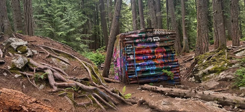 Abandoned boxcar covered in colorful graffiti art nestled in a mossy Whistler forest along Train Wreck Trail.