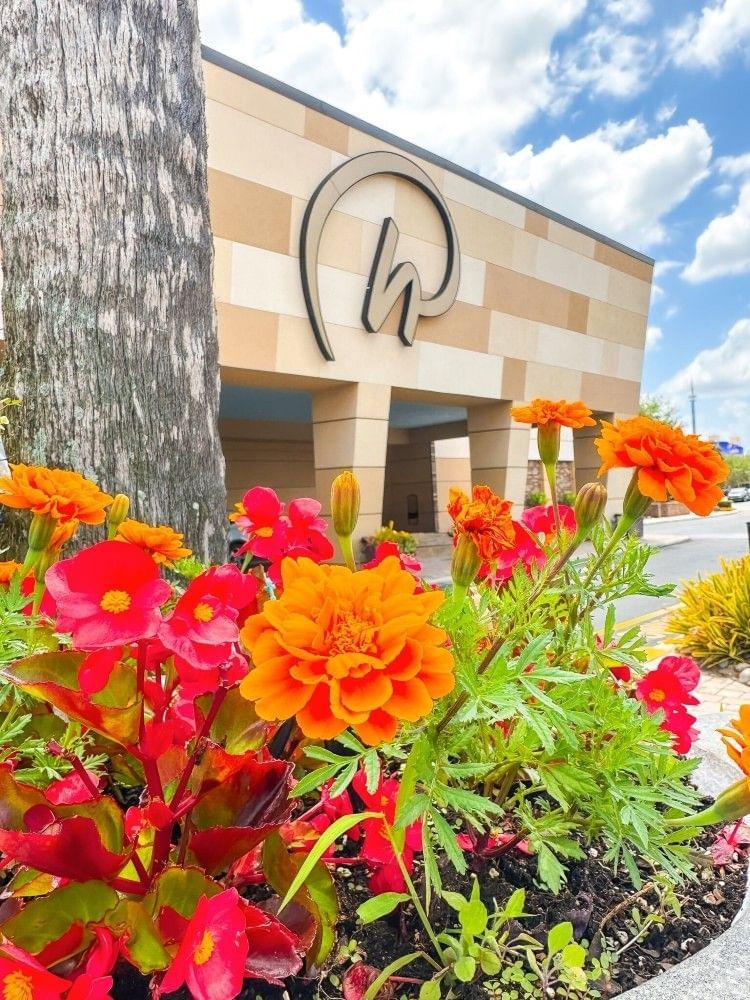 The front entrance to Rosen Inn at Pointe Orlando framed with bright red and orange flowers.