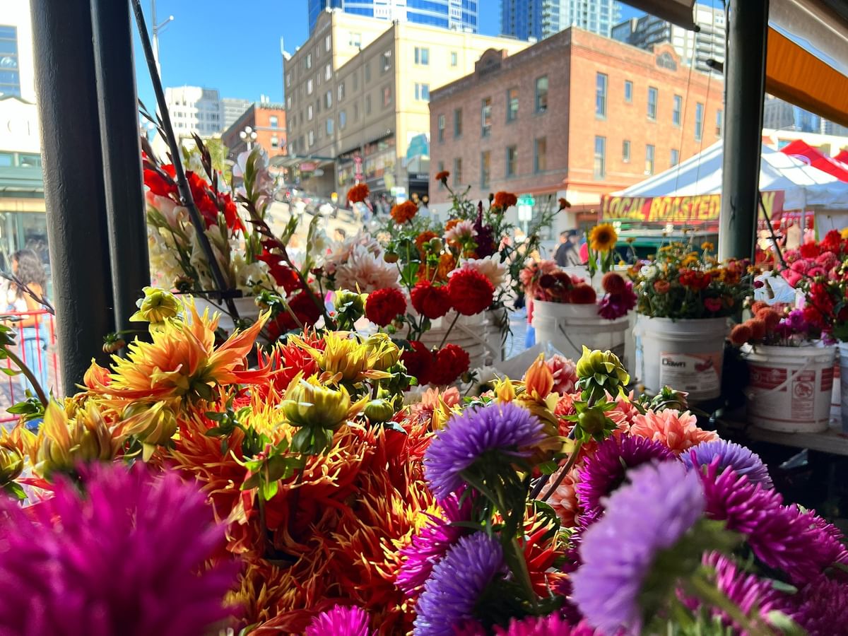 Colorful dahlias in buckets at an outdoor flower market by city buildings, near Warwick Seattle