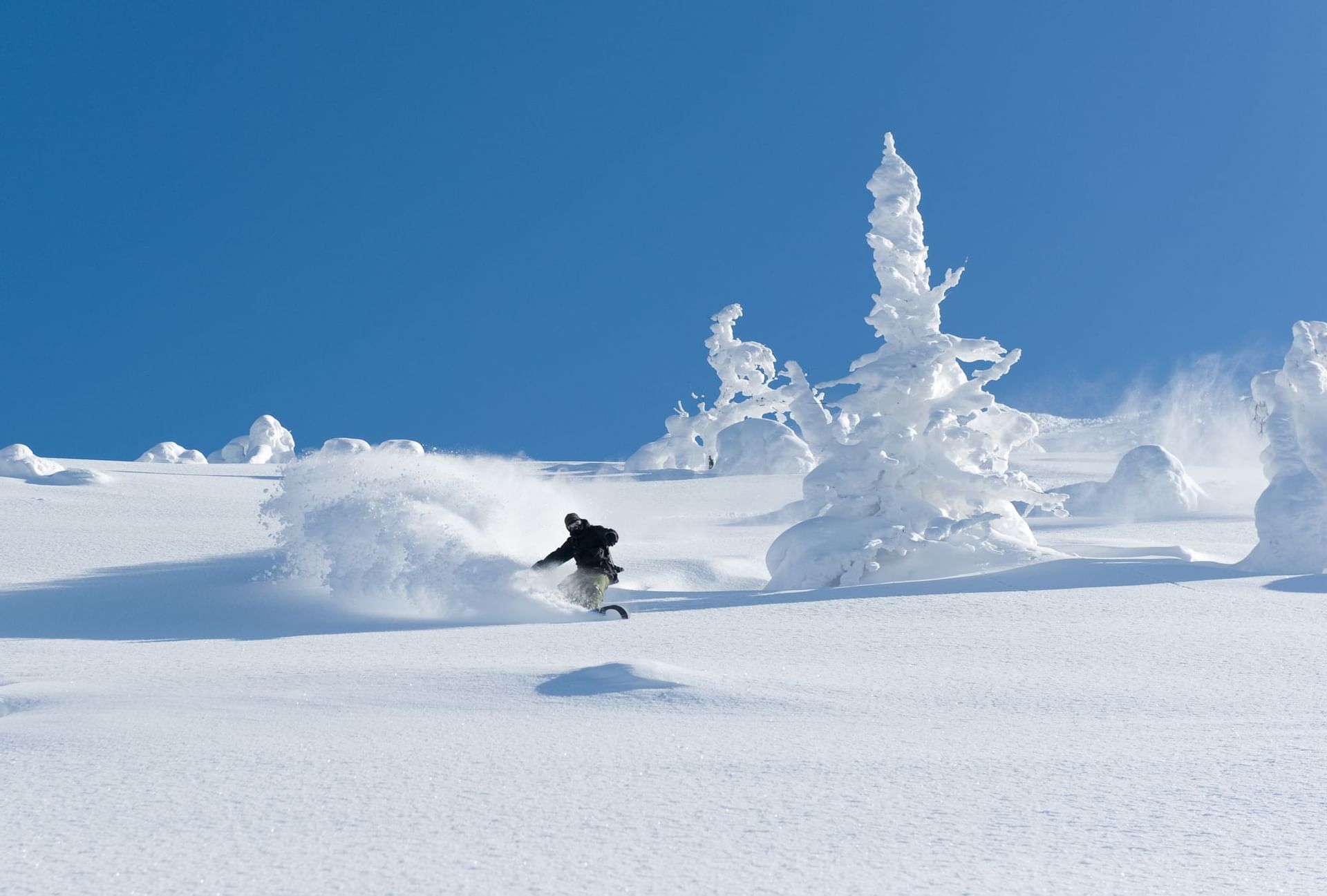 Niseko Skiing