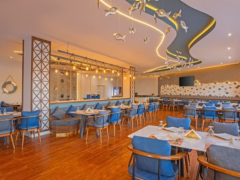The Starfish Restaurant interior with blue chairs, wooden floors, and fish decor at Pickalbatros Alf Leila Wa Leila Resort - Neverland Hurghada.