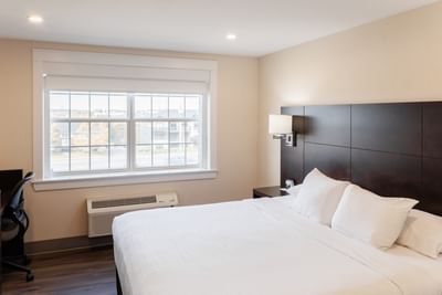 Plush king bed by large window overlooking autumn trees with a dark wood headboard in Royalty Single Queen at Rodd Royalty