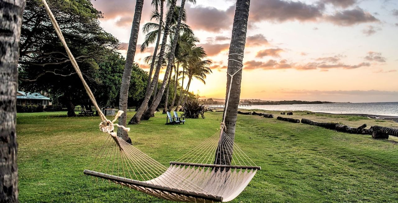 Hammock at sunset