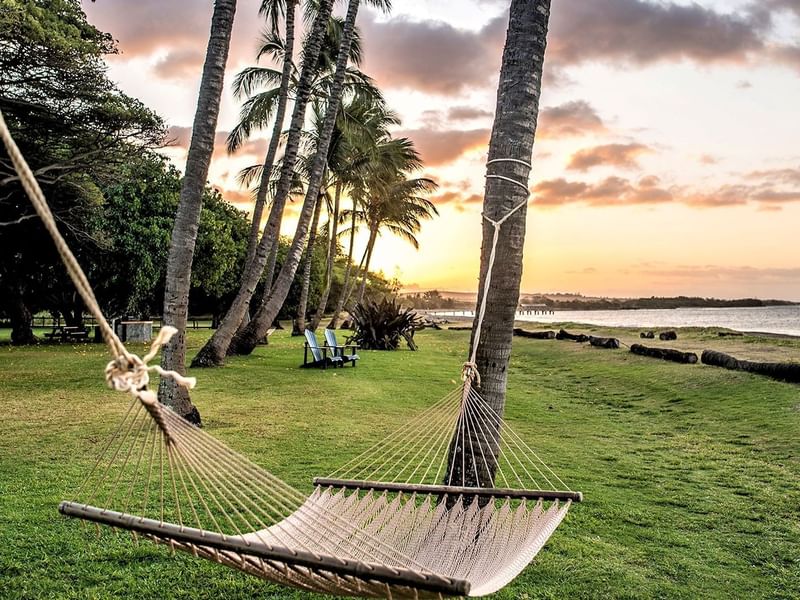 Hammock at sunset