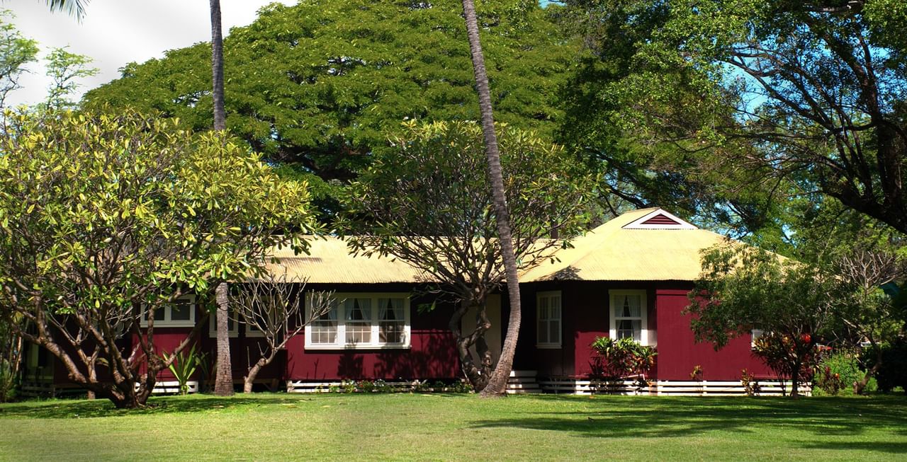 Red cottage surrounded by trees