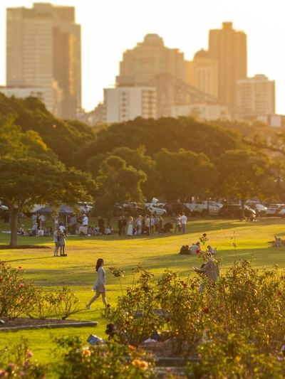 Sunlit park with green lawns, flowering gardens, and people relaxing with city skyline in background at New Farm